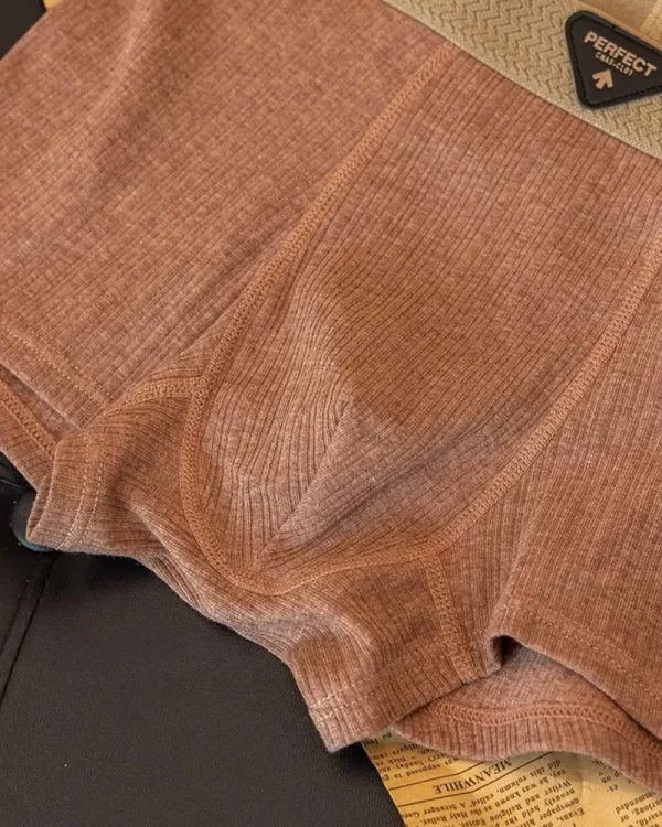 Cueca Boxer Masculina em Algodão Premium – Conforto, Proteção e Estilo no Dia a Dia - Imagem 4
