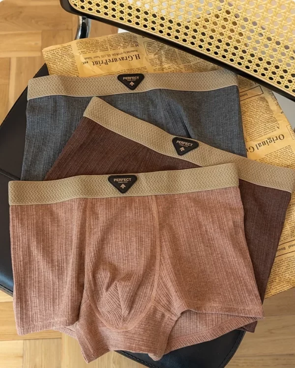 Cueca Boxer Masculina em Algodão Premium – Conforto, Proteção e Estilo no Dia a Dia - Imagem 7